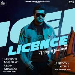 Licence (2024) Poster