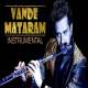 Vande Mataram Instrumental - Music Ringtone Poster