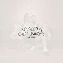Nobody Compares Poster