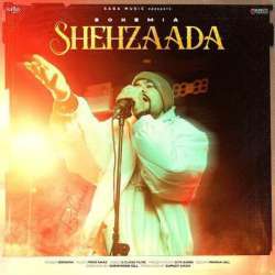 Shehzaada Poster